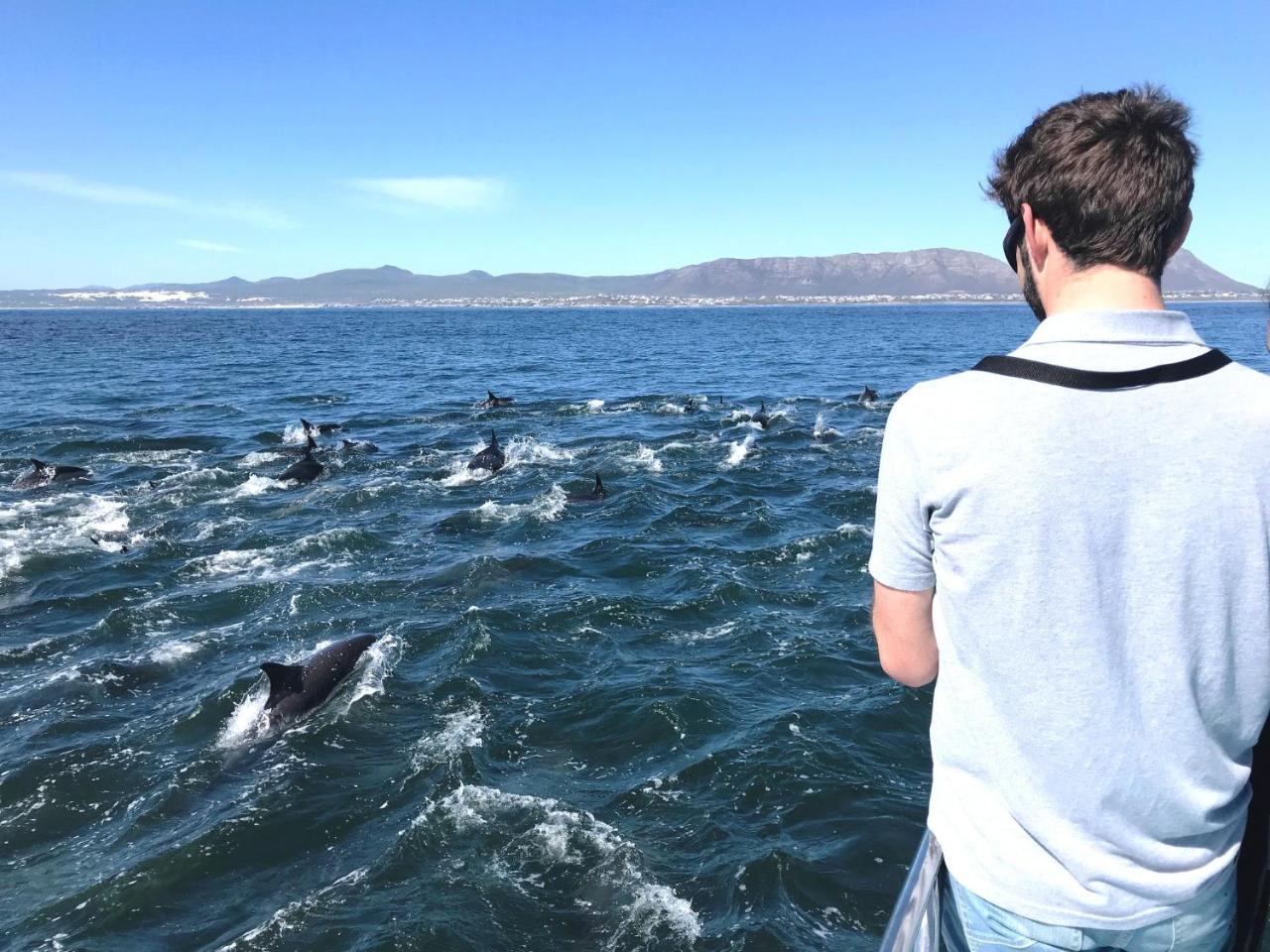 Apartment Whaletale De Kelders
